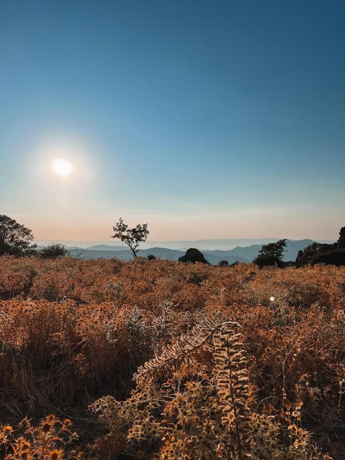 Casa Masini Bed and Breakfast Fonni Εξωτερικό φωτογραφία